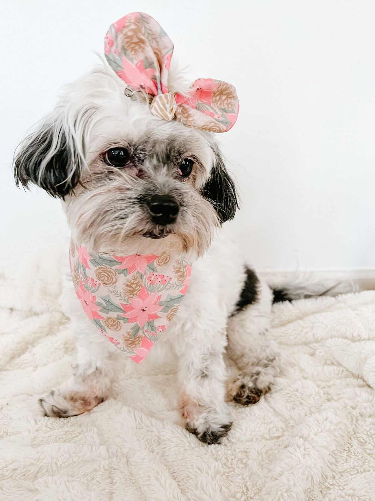 Winter Snap-On Reversible Dog Bandana, Curved Neck